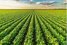 Solid Organomineral Fertilizers