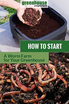 Solid Worm Fertilizers