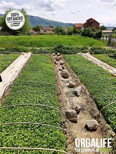 Solid Worm Fertilizers