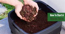 Solid Worm Fertilizers