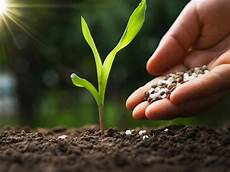 Special Fertilizers