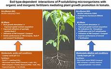 Special Fertilizers