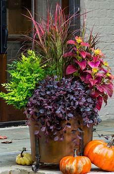 Spring Fertilizer