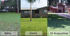 St Augustine Fertilizer