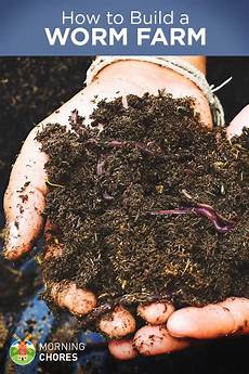 Strawberry Fertilizer