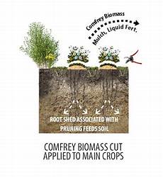 Subsoil Plant Fertilizers