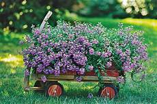 Super Bloom Fertilizer