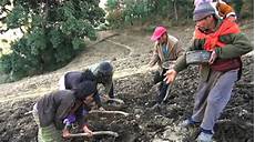 Suphala Fertilizer