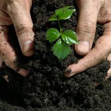 Synthetic Fertilizer