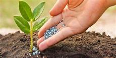 Synthetic Fertilizers