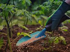 Thrive Fertilizer