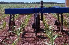 Top Dressing Fertilizer