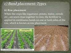 Top Dressing Fertilizer