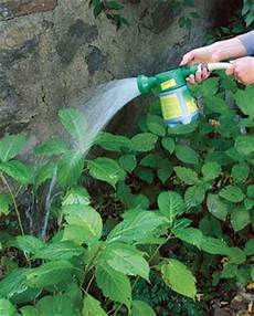 Top Dressing Fertilizer