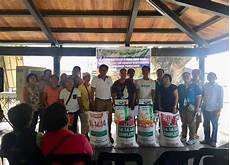 Triple 14 Fertilizer