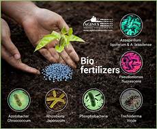 Types Of Fertilizers
