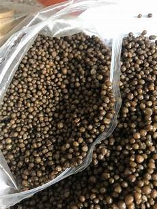 Water Soluble Fertilizer