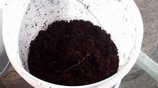 Worm Castings
